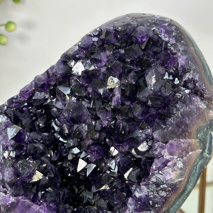 Amethyst-Geode mit intensiv violetter Kristallstruktur und markanter Jaspis-Schale