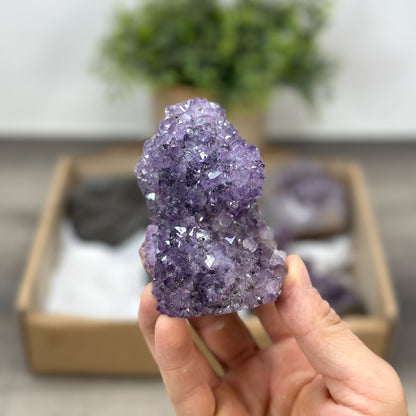 Mineralien-Ensemble mit klarer Formation und feiner Kristallstruktur