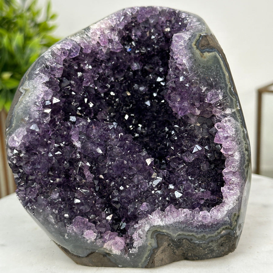 Amethyst-Geode mit geschnittener Standbasis und klarer Kristallstruktur