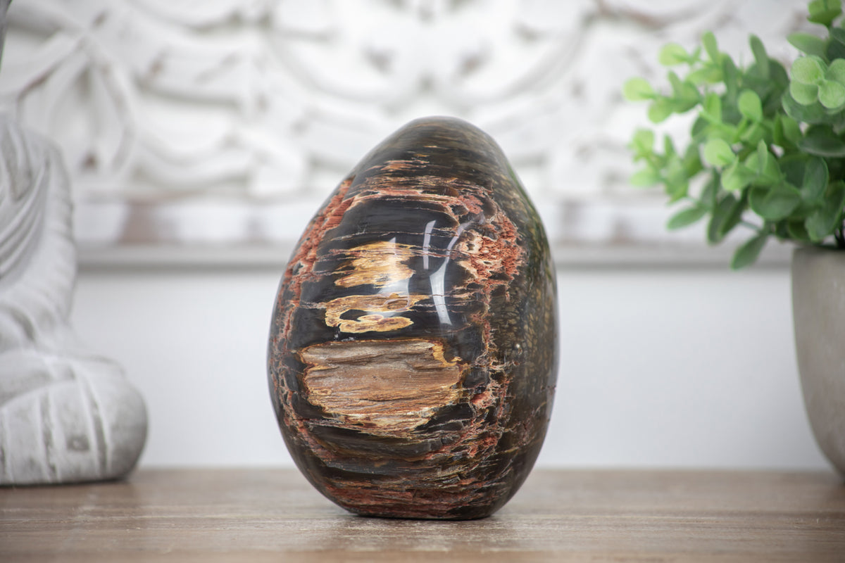 Versteinertes-Holz-Stein-Ei mit markanter fossiler Holzstruktur