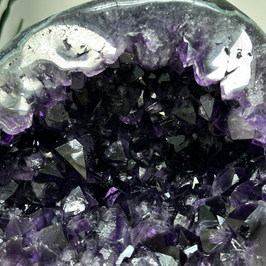 Amethyst-Geode mit ausdrucksstarker Kristallstruktur, in exklusiver Premiumqualität