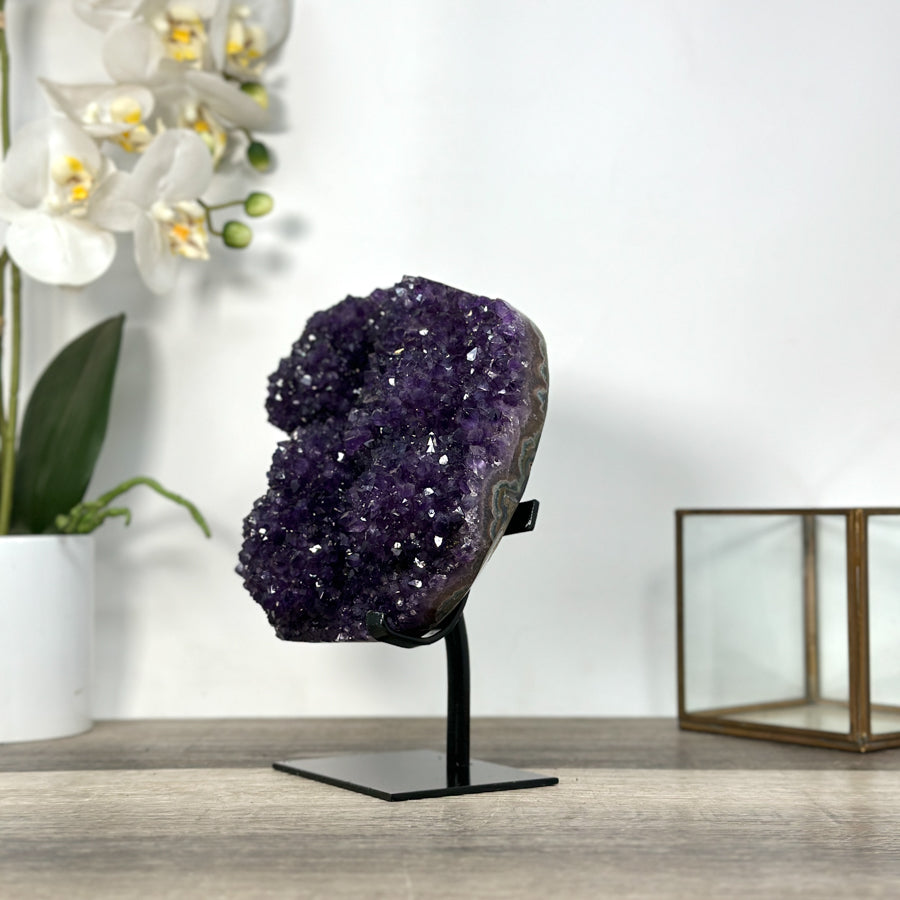 Amethyst-Cluster mit dicht gewachsener, tiefvioletter Kristallstruktur, in exklusiver Premiumqualität