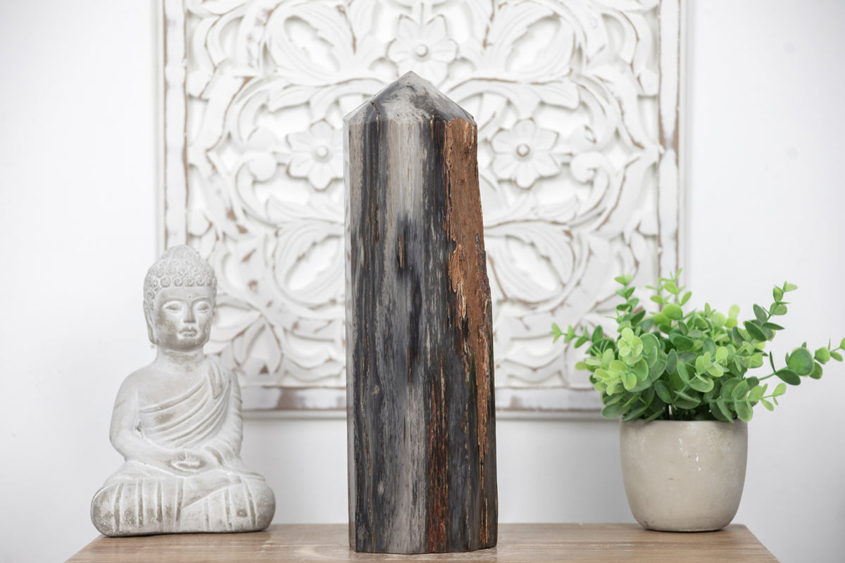 Stunning Large Petrified Wood Obelisk - TLSTP0042