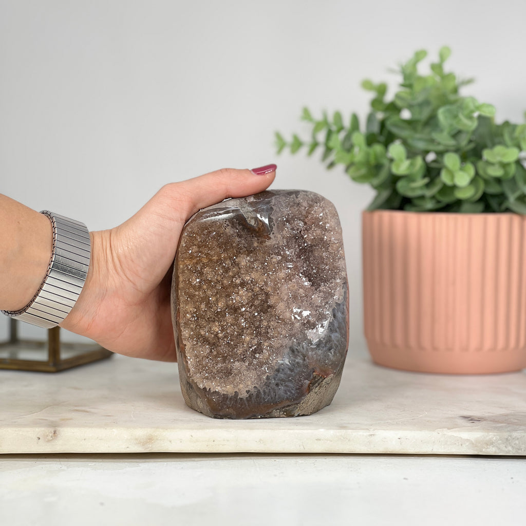 Zuckerquarz-Druse mit gelblich schimmernder Druzy-Oberfläche