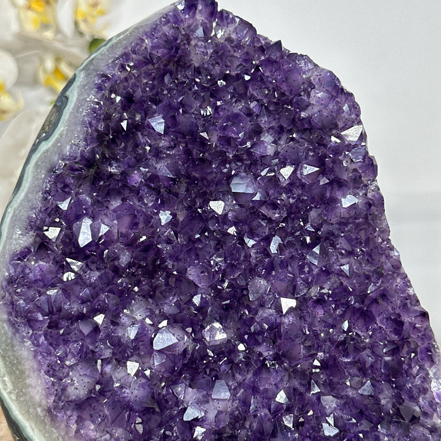 Amethyst-Cluster mit Jaspis-Schale und differenzierter Kristallstruktur