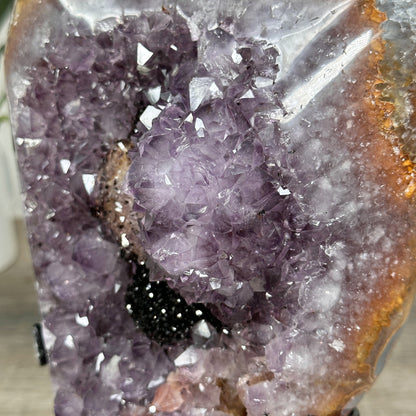 Amethyst-Cluster mit schwarzer Hämatitformation