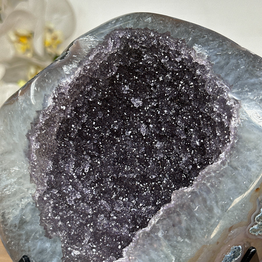 Druzy-Amethyst-Geode mit Quarzschale und tiefvioletter Kristallstruktur