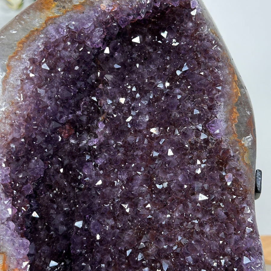 Amethyst-Geode mit klar definierter Kristallkammer