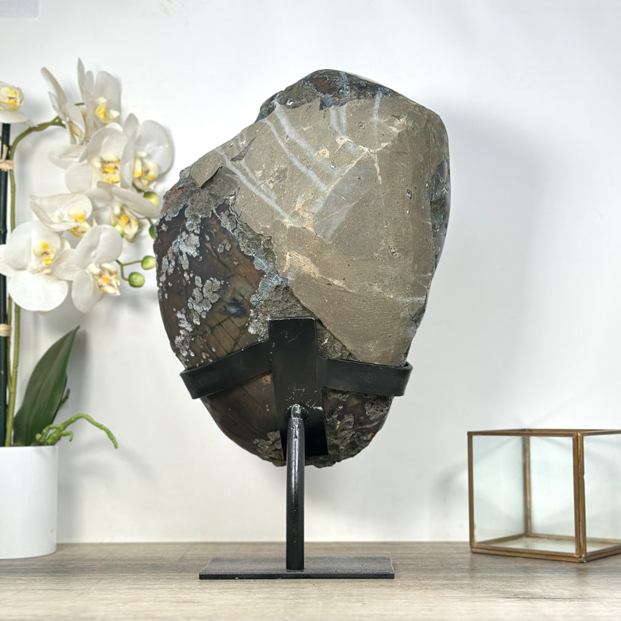 Amethyst-Kristall mit ausdrucksstarker Kristallarchitektur, in ausgewählter Spitzenqualität