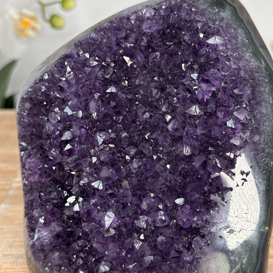Amethyst-Druse groß mit weit geöffneter, kristallreicher Innenkammer