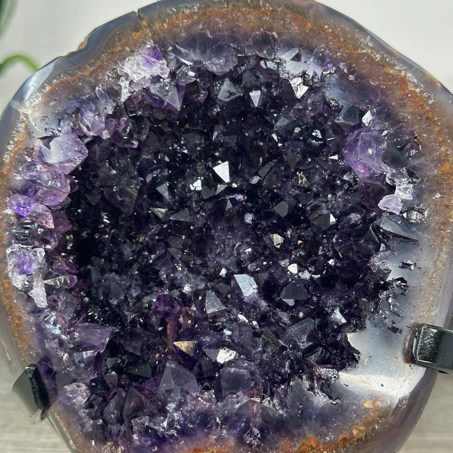 Amethyst-Geode mit intensiv purpurner Farbzone