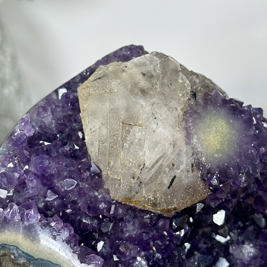 Amethyst-Geode mit reich ausgebildeter, violetter Kristallstruktur im Inneren