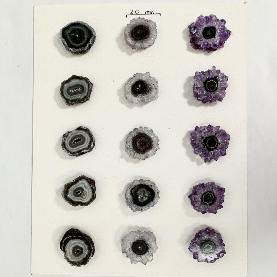 Amethyst-Grünjaspis-Stalaktiten-Scheiben mit kontrastreicher Kristallstruktur