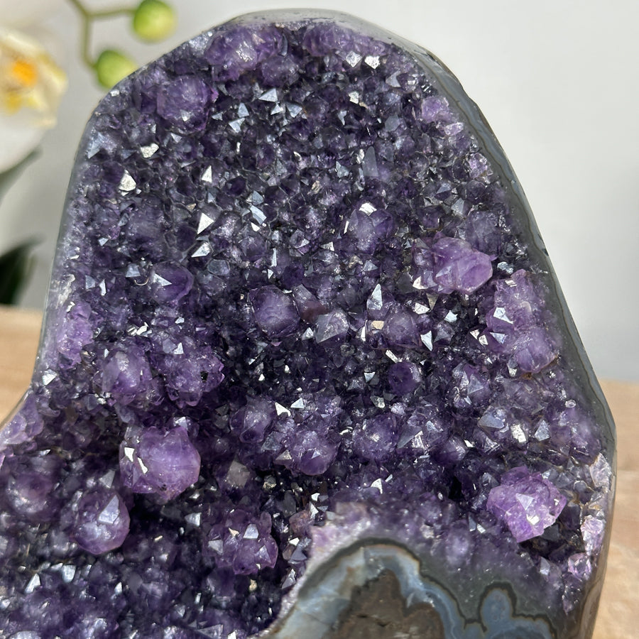 Amethyst-Druse mit tief ausgeprägter, architektonischer Kristallkammer