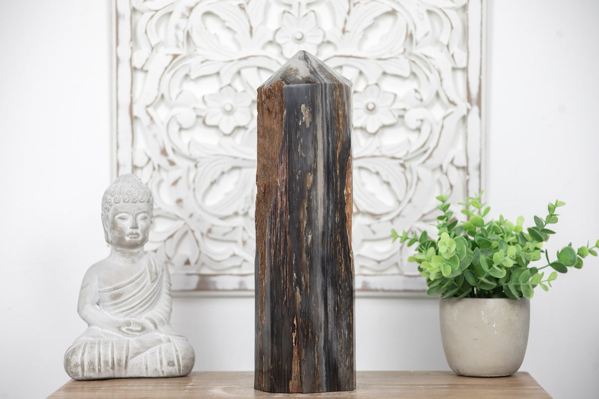 Stunning Large Petrified Wood Obelisk - TLSTP0042