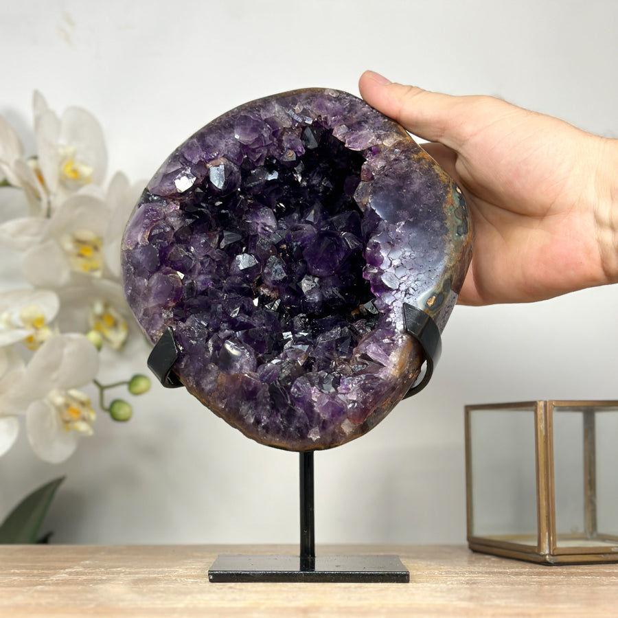 Amethyst-Cluster mit groß gewachsener, tiefvioletter Kristallzone