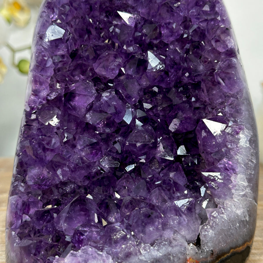 Amethyst-Kathedrale mit klar definierter Kristallkammer und polierten Randflächen