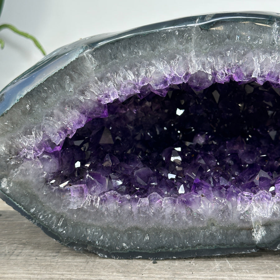Amethyst-Achat-Geode mit klar definierter Kristallkammer und strukturierter Randzone
