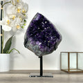 Amethyst-Geode mit tiefvioletter, raumgreifender Kristallstruktur, in ausgewählter Spitzenqualität