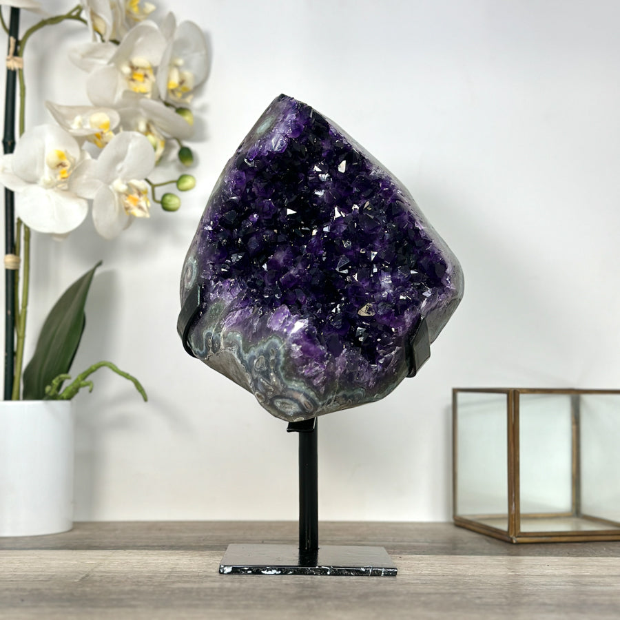 Amethyst-Geode mit tiefvioletter, raumgreifender Kristallstruktur, in ausgewählter Spitzenqualität