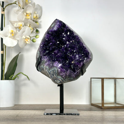 Amethyst-Geode mit tiefvioletter, raumgreifender Kristallstruktur, in ausgewählter Spitzenqualität