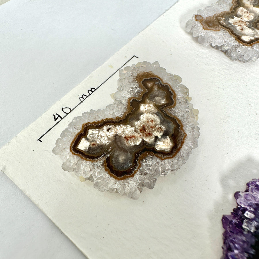Amethyst-Quarz-Stalaktiten-Scheiben mit radialer Kristallstruktur