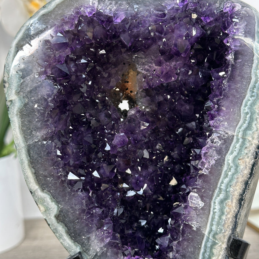 Amethyst-Geode mit natürlich eingebetteter Jaspis-Matrix