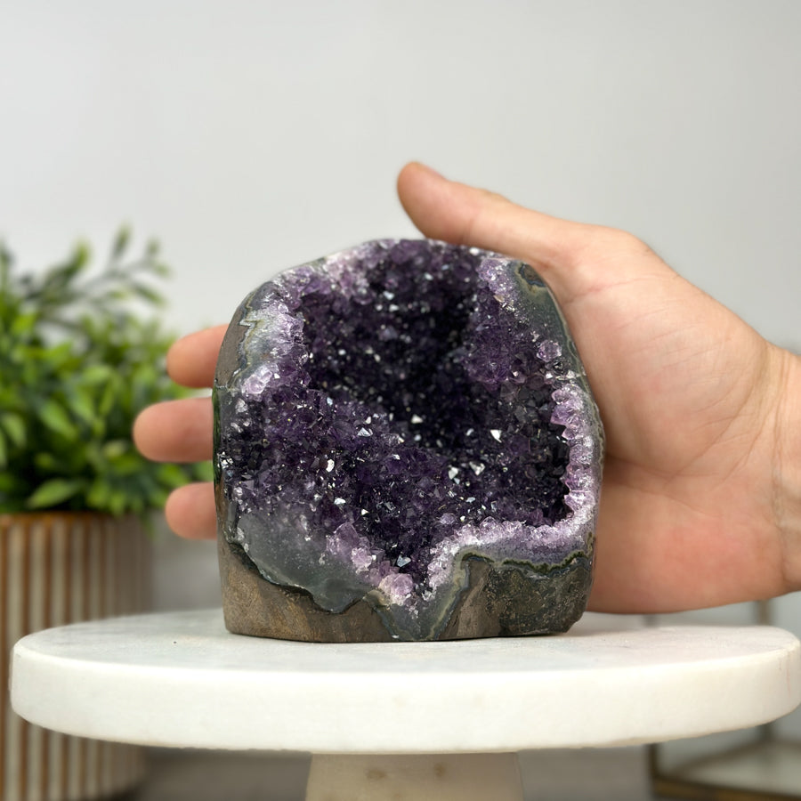 Amethyst-Geode mit geschnittener Standbasis und klarer Kristallstruktur