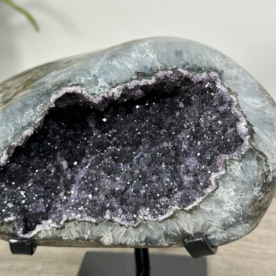 Amethyst-Druzy-Geode mit gleichmäßiger Kristallstruktur
