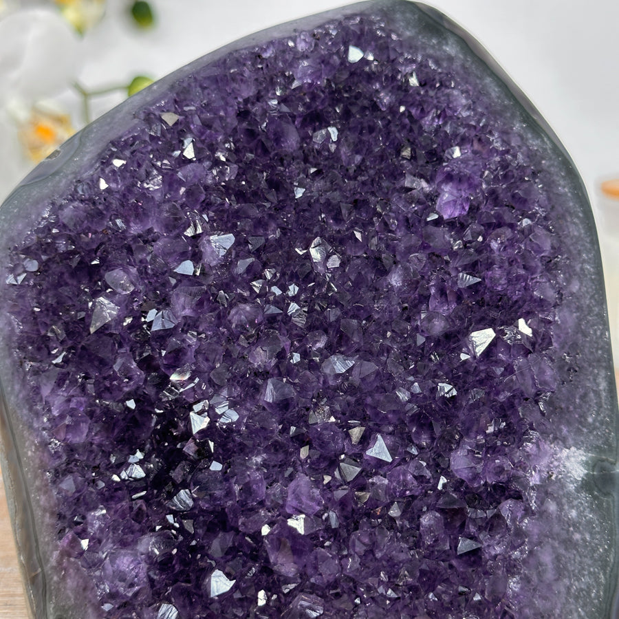 Amethyst-Druse groß mit weit geöffneter, kristallreicher Innenkammer