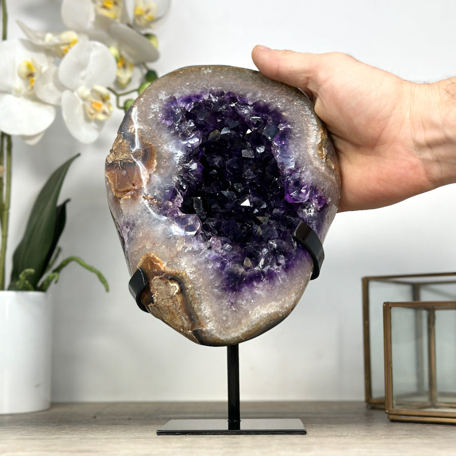 Amethyst-Geode mit intensiv tiefvioletter, glänzender Kristallzone