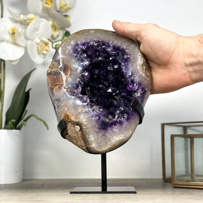 Amethyst-Geode mit intensiv tiefvioletter, glänzender Kristallzone