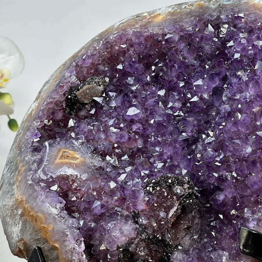Amethyst-Geode XXL mit einzigartigen Hämatit-Einschlüssen