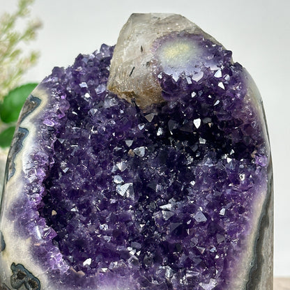 Amethyst-Geode mit reich ausgebildeter, violetter Kristallstruktur im Inneren