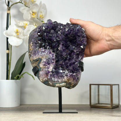 Amethyst-Kristallcluster mit frei gewachsener Spitzenzone