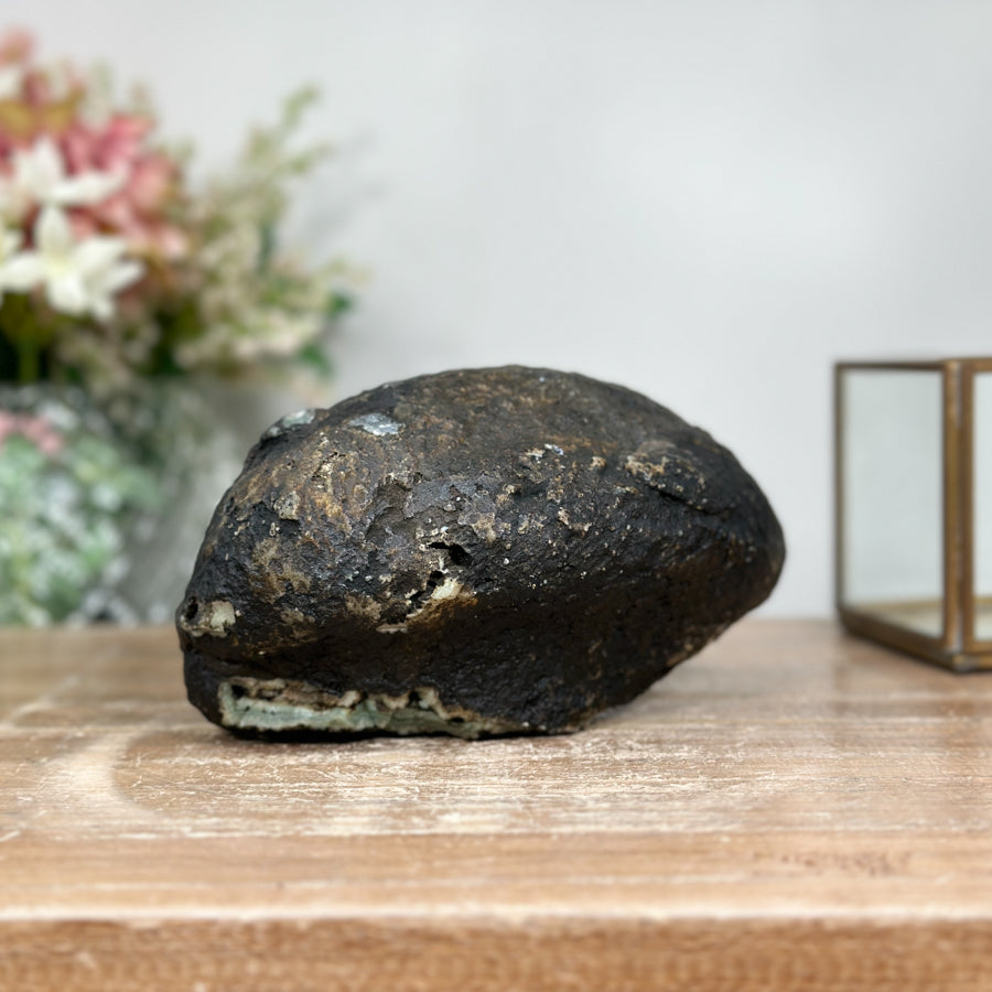 Quarz-Jaspis-Geode mit grün gebänderter, kontrastreicher Gesteinsmatrix