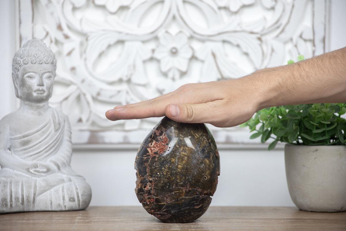 Versteinertes-Holz-Stein-Ei mit markanter fossiler Holzstruktur