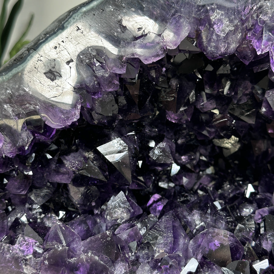 Amethyst-Geode mit ausdrucksstarker Kristallstruktur, in exklusiver Premiumqualität