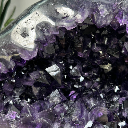 Amethyst-Geode mit ausdrucksstarker Kristallstruktur, in exklusiver Premiumqualität