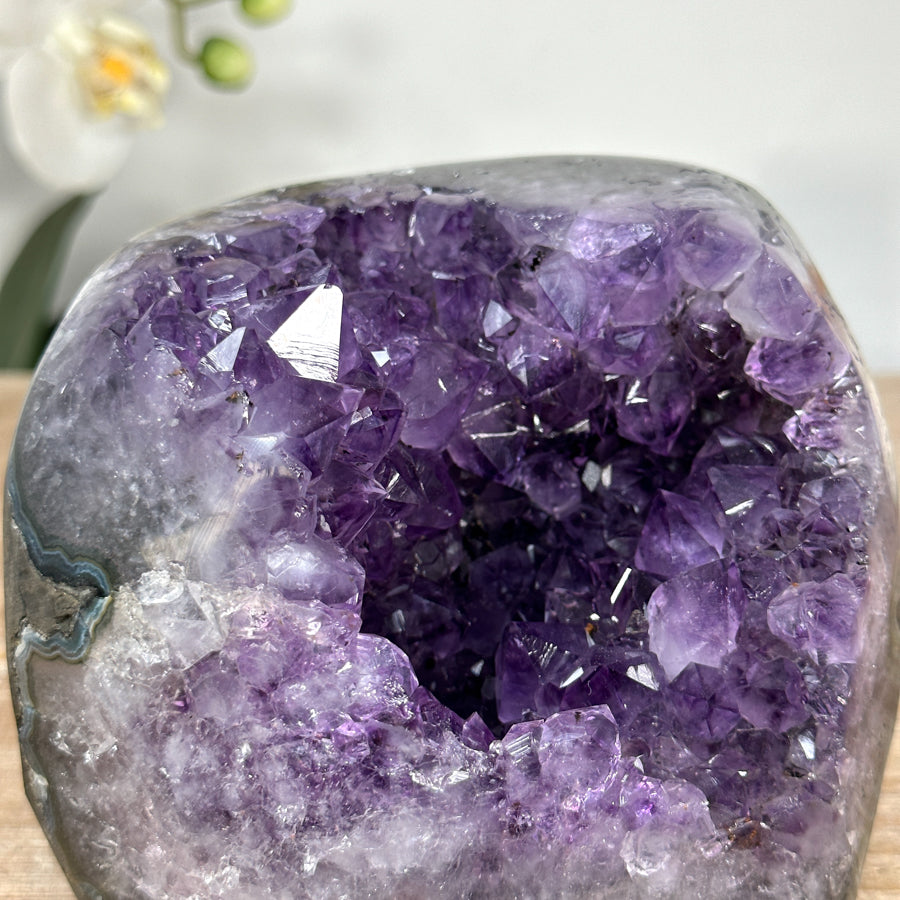 Amethyst-Geode mit klar geöffneter Kristallkammer und polierten Randflächen