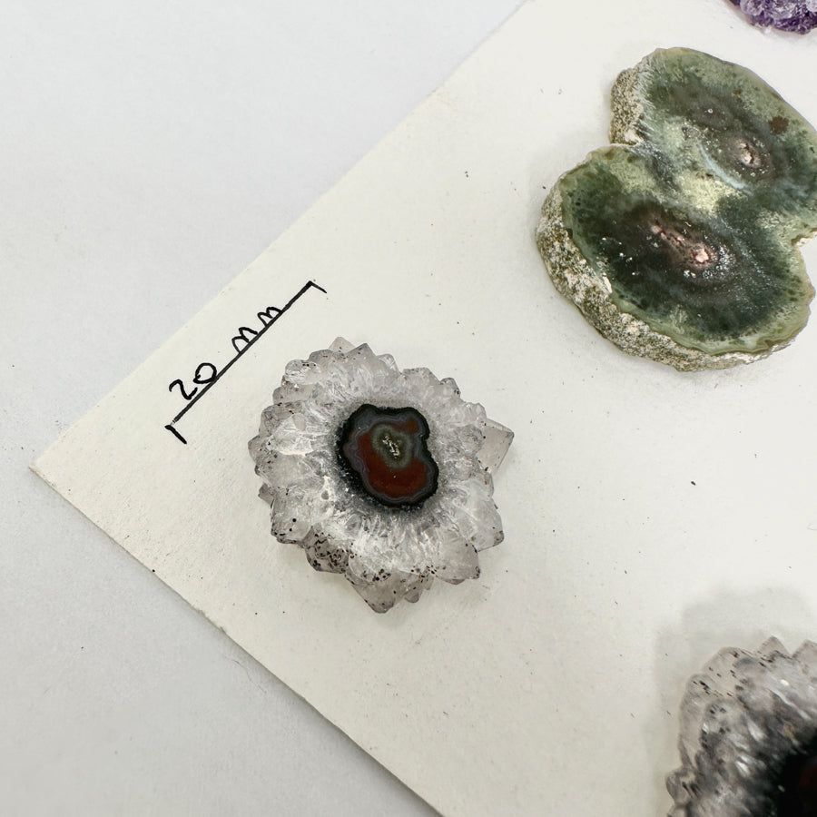Amethyst-Quarz-Grünjaspis-Stalaktiten-Scheiben mit natürlicher Bänderung
