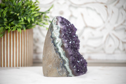 Amethyst-Druse mit tiefvioletter Kristallzone und grüner Jaspis-Matrix
