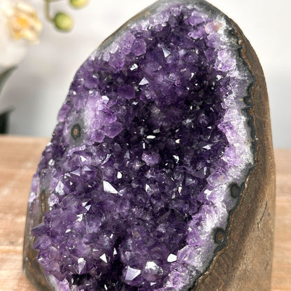 Amethyst-Druse mit stalaktitischer Kristallstruktur und tropfsteinartiger Innenarchitektur