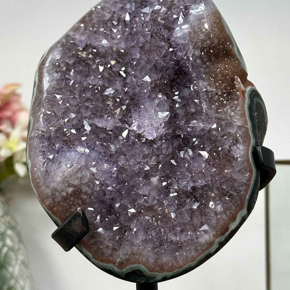 Amethyst-Cluster mit grün gebänderter Jaspisschale und kraftvoller Kristallstruktur, in hochwertiger Naturqualität