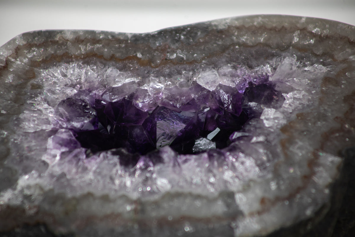 Amethyst-Geode groß mit dicht gewachsener, purpurfarbener Kristallstruktur
