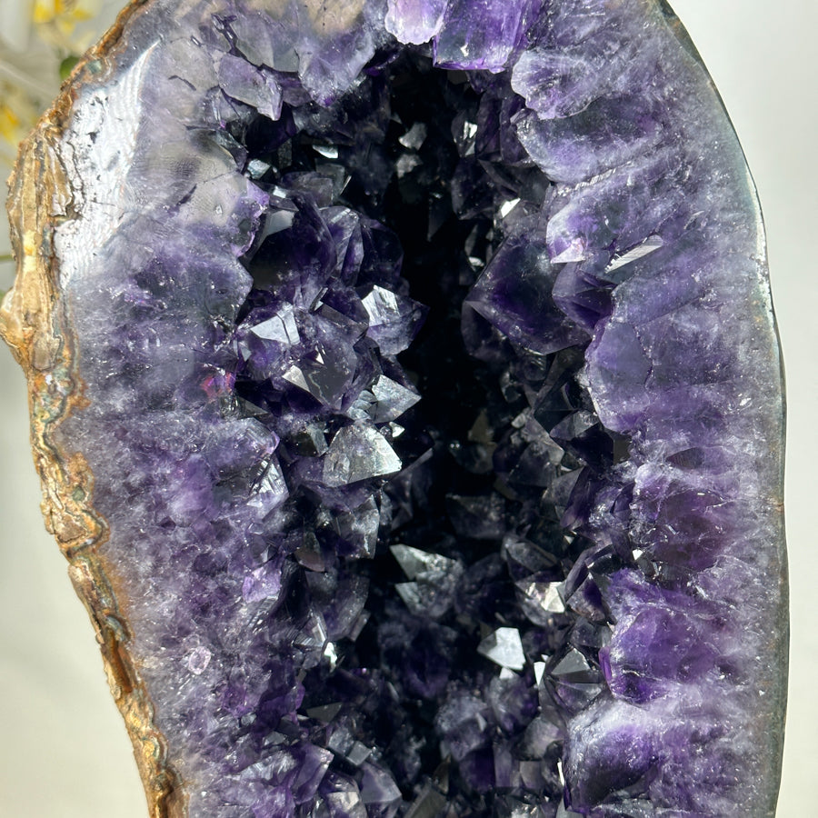 Detailansicht der oberen Kammer-Architektur mit dicht stehenden, unbeschädigten Amethyst-Kristallspitzen, die das Licht brechen.