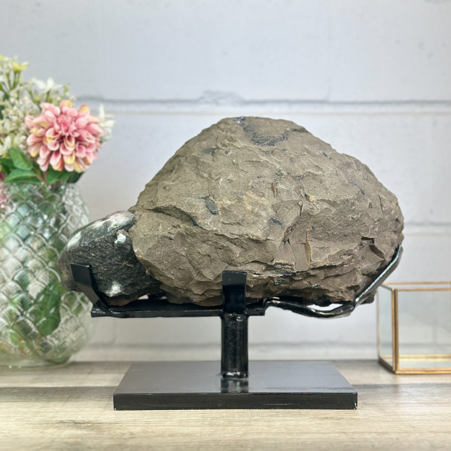 Blick von oben auf die polierte Oberkante der Amethyst-Geode, der das beeindruckende Volumen und den massiven Charakter des Steins verdeutlicht.
