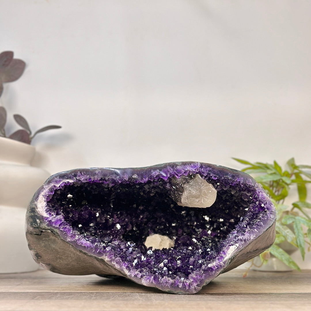 Weit geöffnete XXL Amethyst Geode aus Uruguay mit tiefvioletten Kristallspitzen und zwei prägnanten, hellen Kalzit-Formationen im Inneren auf einem Holzuntergrund.